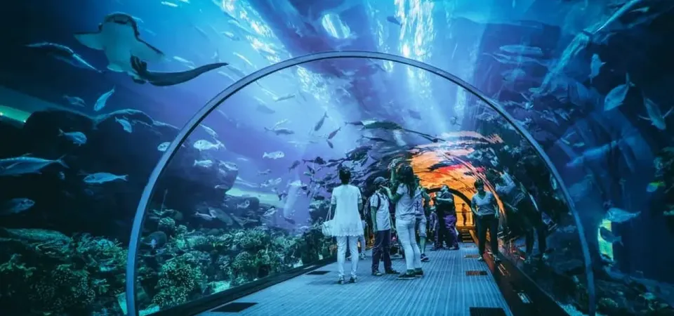 Primary image of Jakarta Aquarium Admission Ticket tour